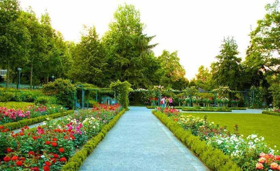 Rose Garden Chandigarh